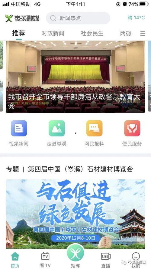最新模块爆料视频大全集,揭秘科技前沿，畅览创新风采