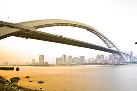 卢浦大桥爆料最新消息视频,视频揭露惊人真相