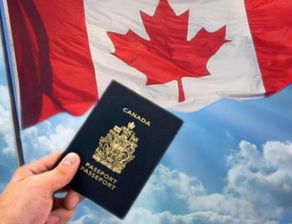 加拿大留学免费吗