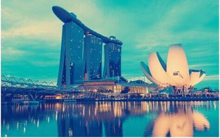新加坡留学奖励计划，点燃你的未来之光