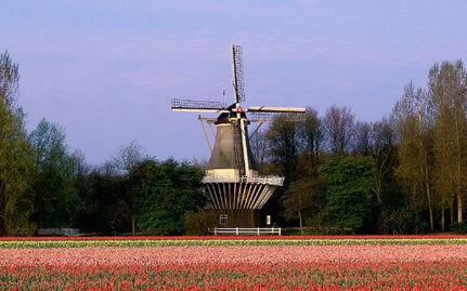 荷兰留学生活经验怎么样，荷兰留学生活经验分享