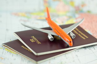 外国留学生签证办理