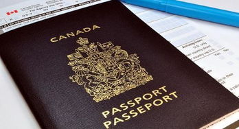 如何申请加拿大留学资格、需要什么条件